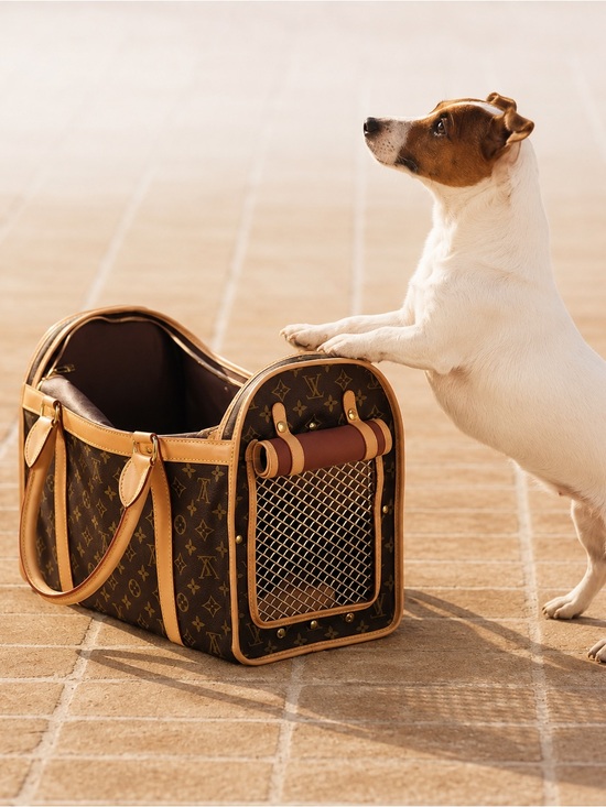 Louis Vuitton Handbags - Louis Vuitton Sac Chien Monogram Pet Carrier Dog Bag LV